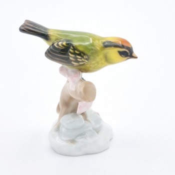 Rosenthal Amerik Goldhaubenkunig lata 50-te XX w Dzięcioł Rudy